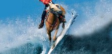 Small2_surf_horse