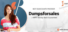 Small2_dumpsforsales