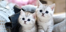 Small2_tisha_and_ted_1