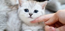 Small2_tisha_and_ted_3