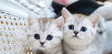 Small2_tisha_and_ted_4