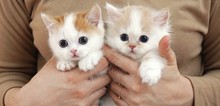 Small2_bayley_and_ben_1