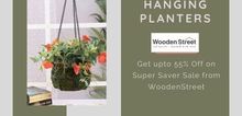 Small2_hanging_planters