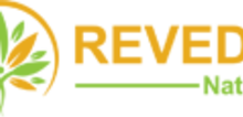 Small2_revedic_logo