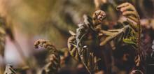 Small2_alex-boyd-0pxthavvkh8-unsplash