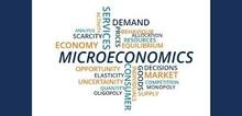 Small2_microeconomics_assignment_help_services