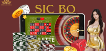 Small2_sic_bo__1_