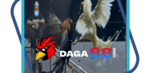 Small2_daga88