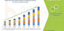 Small2_cell_cycle_inhibitors_market