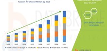 Small2_counterfeit_drug_detection_device_market
