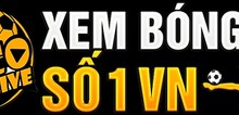 Small2_socolive-logo-2024