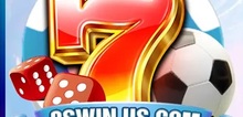Small2_8swin