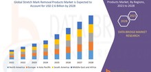 Small2_global_stretch_mark_removal_products_market