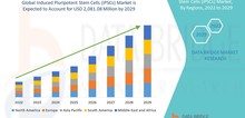 Small2_global_induced_pluripotent_stem_cells__ipscs__market