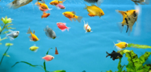 Small2_gettyimages-1413740339