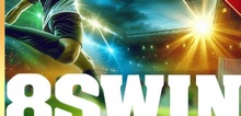 Small2_8swin