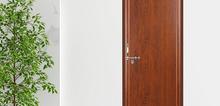 Small2_1-pvc-door-1