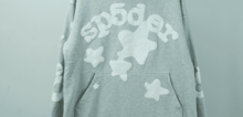Small2_sp5der