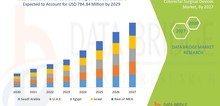 Small2_middle_east_and_africa_colorectal_surgical_devices_market