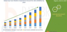 Small2_global_guar_gum_market_size