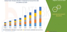 Small2_grain_analysis_market