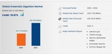 Small2_anaerobic_digestion_market
