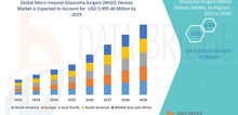 Small2_micro_invasive_glaucoma_surgery__migs__devices_market