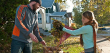 Small2_green-disposal-guide_yardwaste
