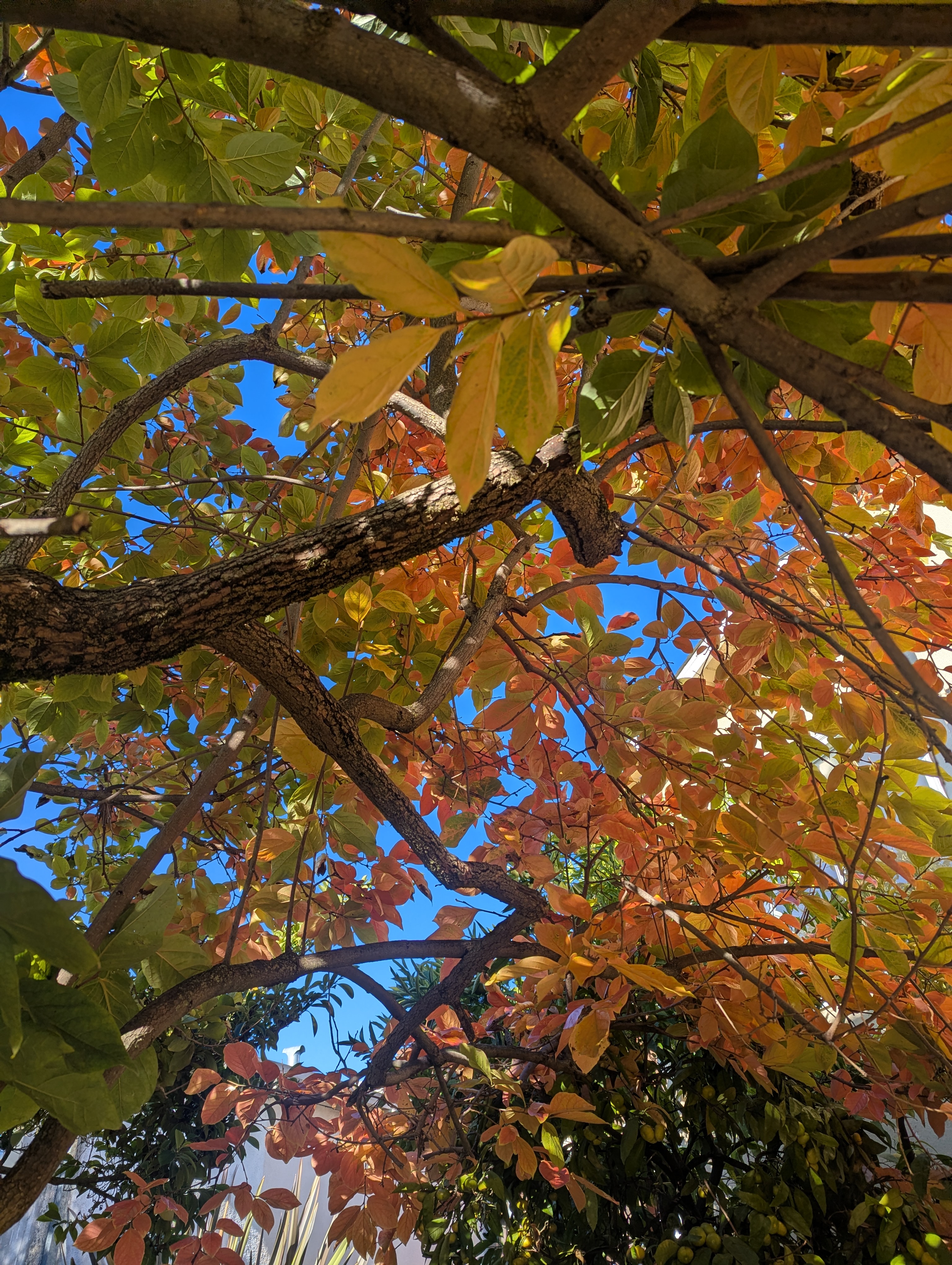 Pxl_20251108_165748598