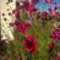 Small_10244303393664034